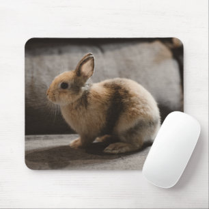 Mousepad Cutest Baby Animals   Netherland Dwarf Rabbit