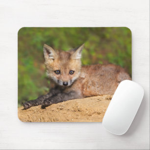 Mousepad Cutest Baby Animals   Red Fox Pup