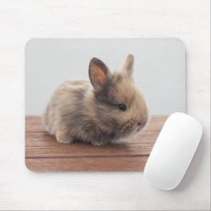 Mousepad Cutest Baby Animals   Tiny Baby Bunny