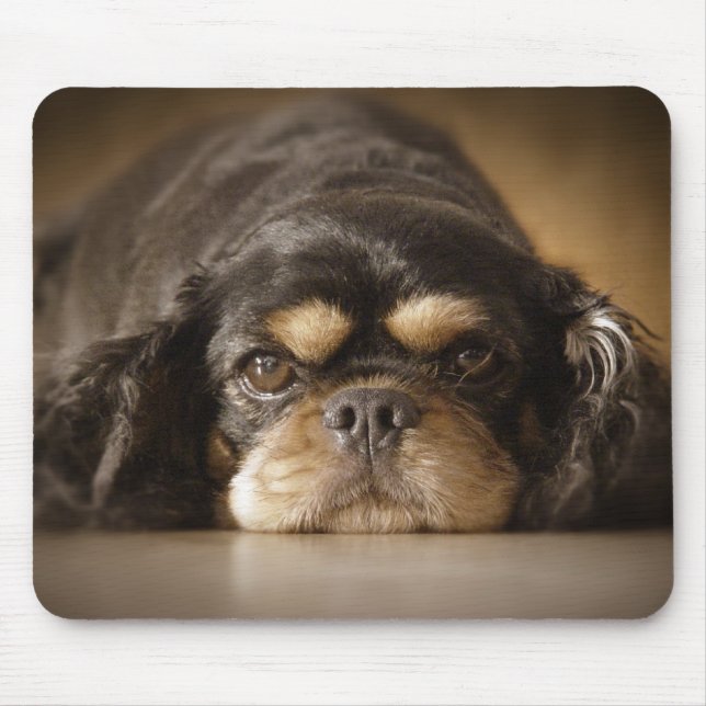 Mousepad Cutie Cav! (Frente)