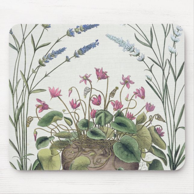 Mousepad Cyclamen e lavanda: 1.Cyclamen Romanum; 2.Spica (Frente)