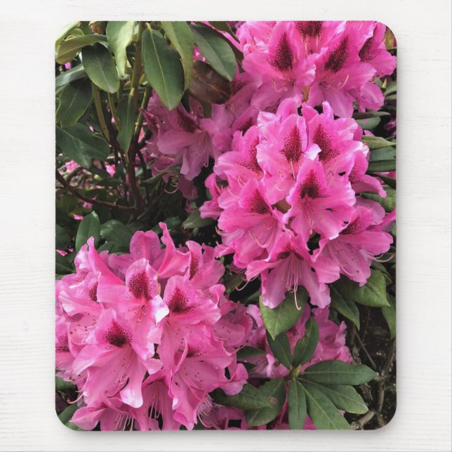 Mousepad Cynthia Rhododendrons, Oregon (Frente)