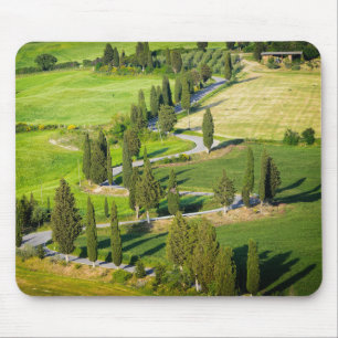 Mousepad Cypress alinhou a estrada de enrolamento no