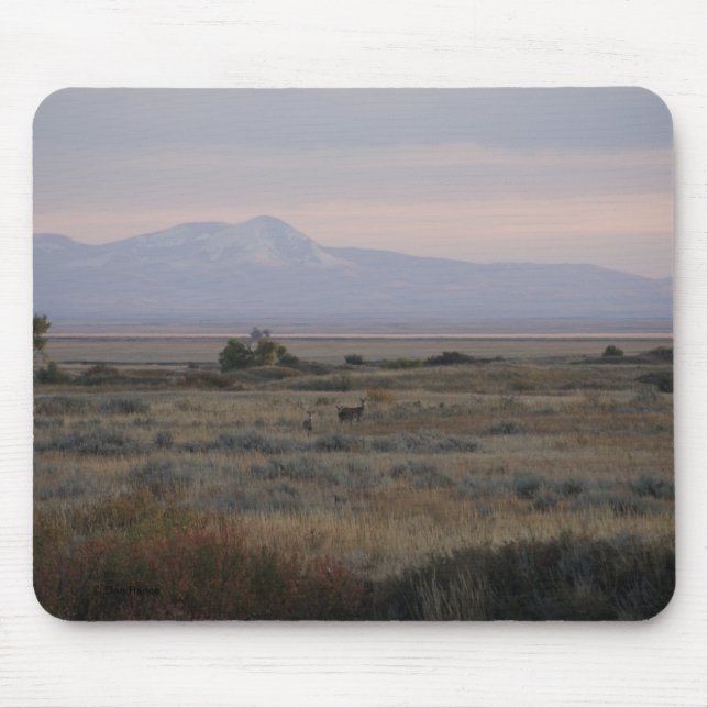 Mousepad D10 Corças de Cauda Branca e Sweet Grass Hills (Frente)