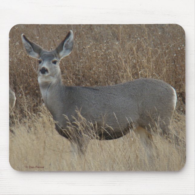 Mousepad D14 Mule Deer Doe (Frente)