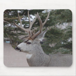 Mousepad D25 Mule Deer Buck