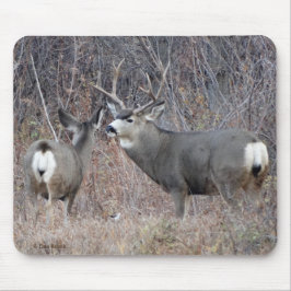 Mousepad D29 Veado Mula Macho e Fêmea