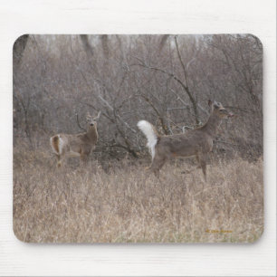 Mousepad D2 Veado-branco em Árvores de Algodão