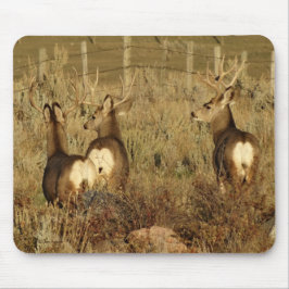 Mousepad D30 Mule Deer Bucks