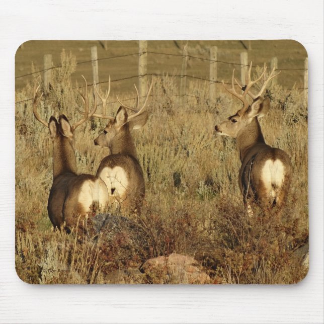 Mousepad D30 Mule Deer Bucks (Frente)