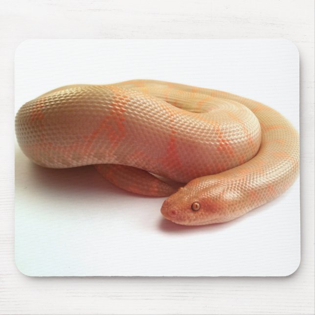 Mousepad da boa da areia do kenyan do albino (Frente)