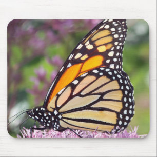 Mousepad da borboleta de monarca