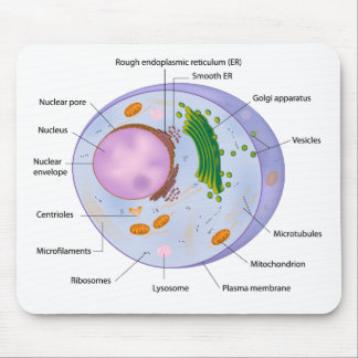 Mousepad da estrutura de pilha