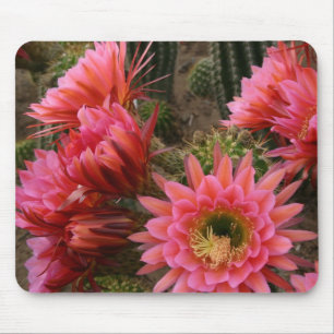 Mousepad da flor do cacto