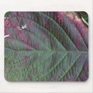mousepad da folha