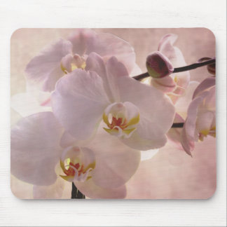 Mousepad da orquídea