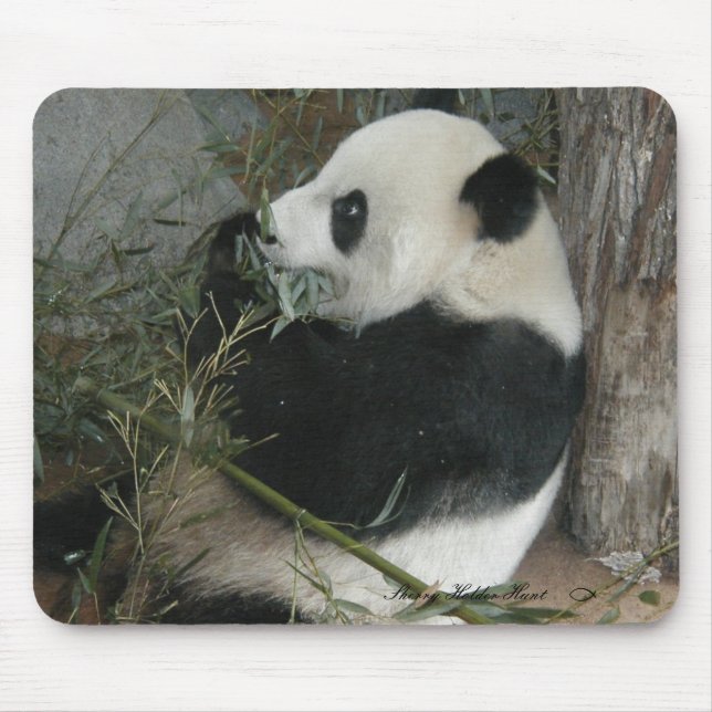 Mousepad da panda (Frente)