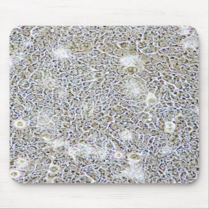 Mousepad da pesquisa da ciência do tecido da pilh