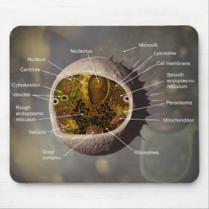 Mousepad da pilha humana