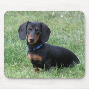 Mousepad Dachshund