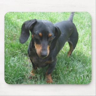 Mousepad Dachshund