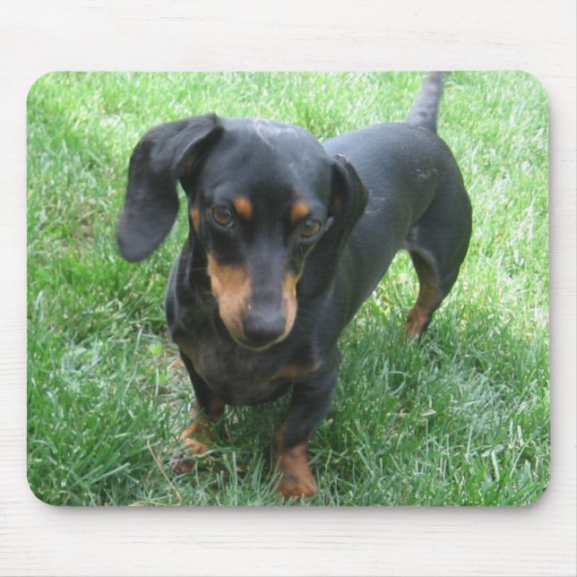 Mousepad Dachshund (Frente)
