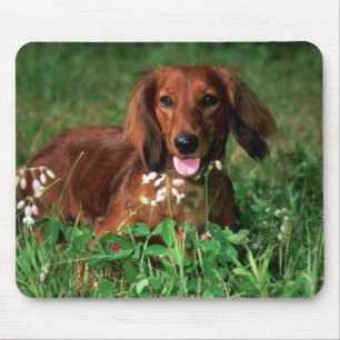 Mousepad Dachshund