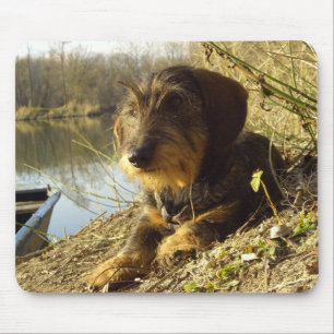 Mousepad Dachshund bonito no lago