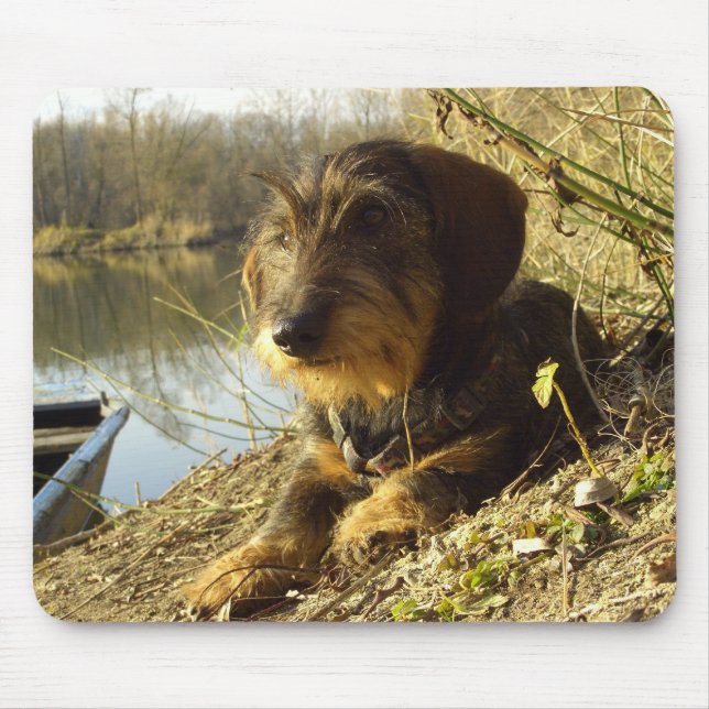 Mousepad Dachshund bonito no lago (Frente)