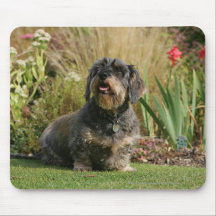 Mousepad Dachshund padrão Fio-de cabelo