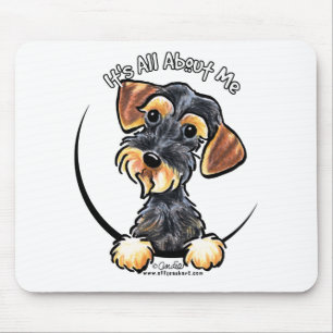 Mousepad Dachshund Wirehaired do javali seu toda