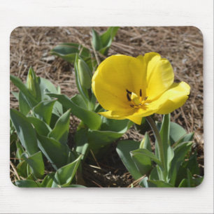 Mousepad Daffodil amarelo aberto