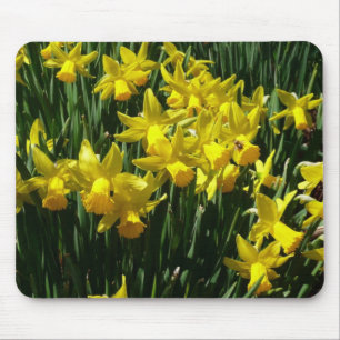Mousepad Daffodils Amarelos I Flores De Mola Cheery