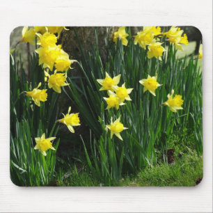 Mousepad Daffodils do primavera