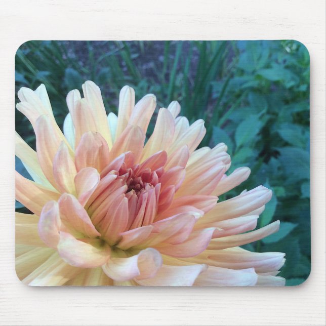 Mousepad Dahlia B: Amarelo e salmão. (Frente)
