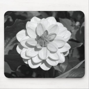 Mousepad Dahlia 'David Howard' B&W