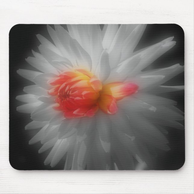 Mousepad Dahlia Feche O Bloco De Mão Branco Preto Flor (Frente)