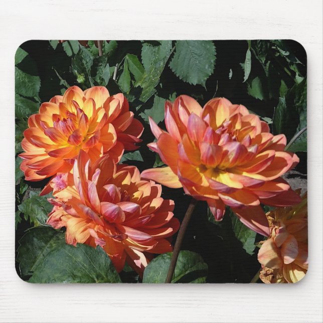 Mousepad Dahlia Pam Howden #1 (Frente)