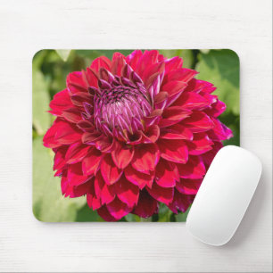 Mousepad Dahlia Rosa, Bela Fotografia Flor