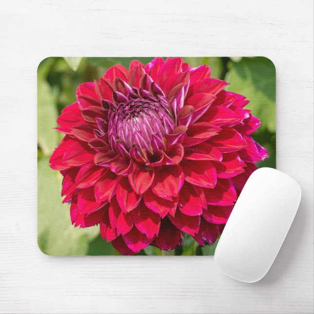 Mousepad Dahlia Rosa, Bela Fotografia Flor (Com mouse)