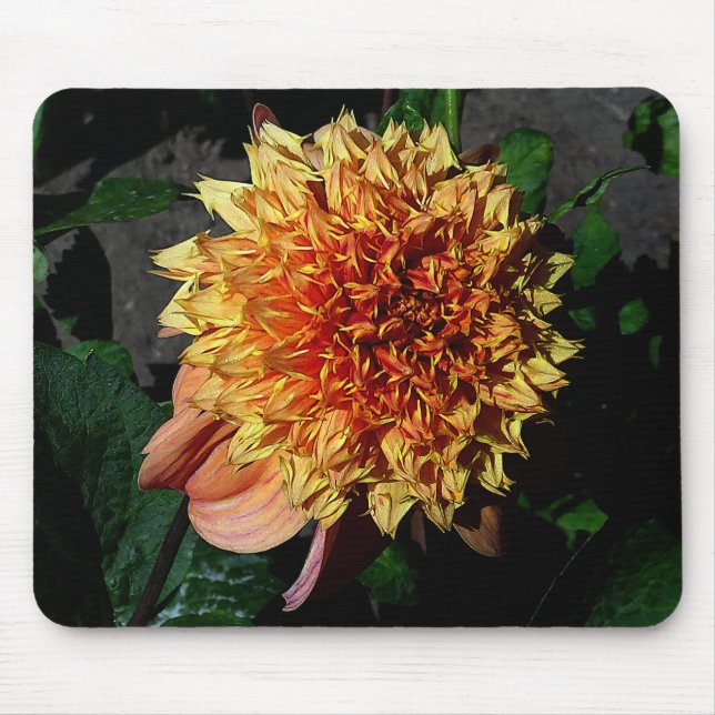 Mousepad Dahlia Sandia Brocade #1 (Frente)