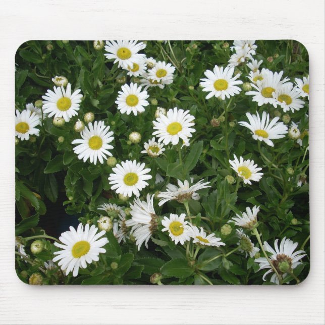 Mousepad Daisies (Frente)