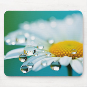 Mousepad Daisy Flower Petal Natureza Serena Calma