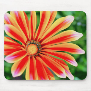 Mousepad Daisy Petals