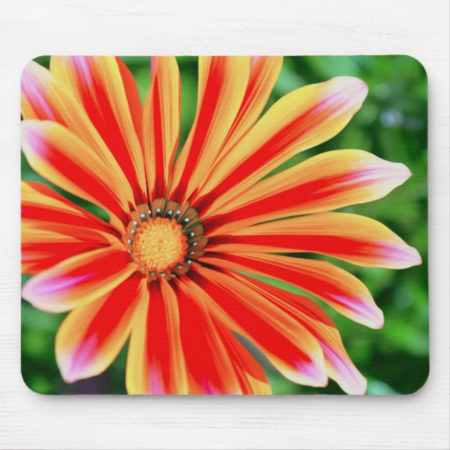 Mousepad Daisy Petals (Frente)