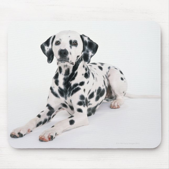 Mousepad Dalmáata 4 (Frente)
