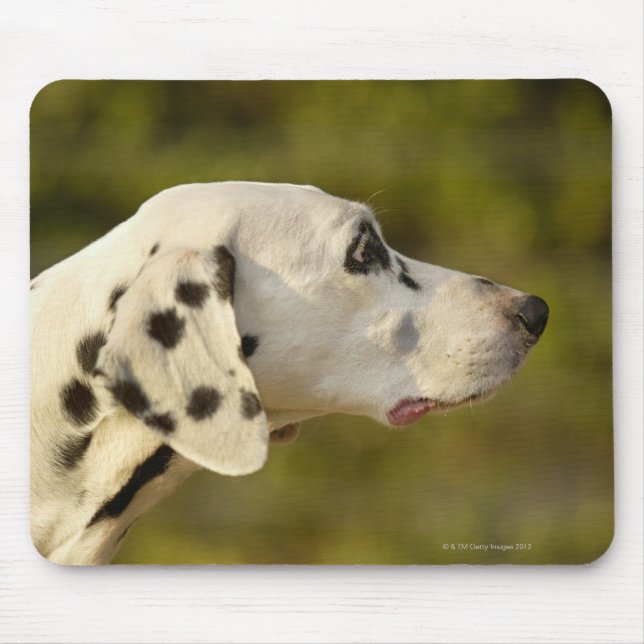 Mousepad Dalmáata 4 (Frente)