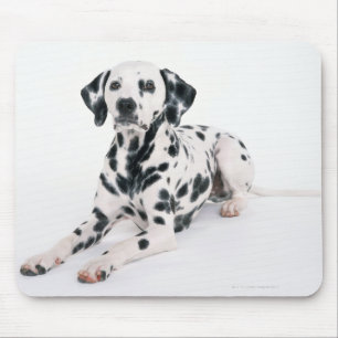 Mousepad Dalmatian 4