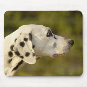 Mousepad Dalmatian 4