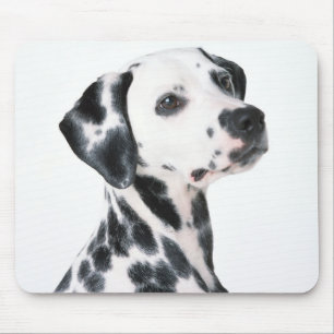 Mousepad Dalmation